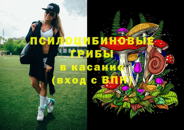 гашик Алзамай